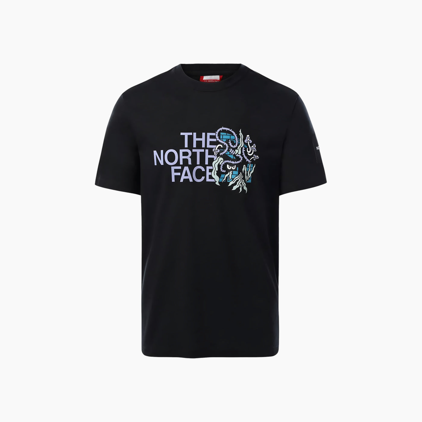 The North Face Black Box Graphic Tee The North Face Black Box Graphic Tee