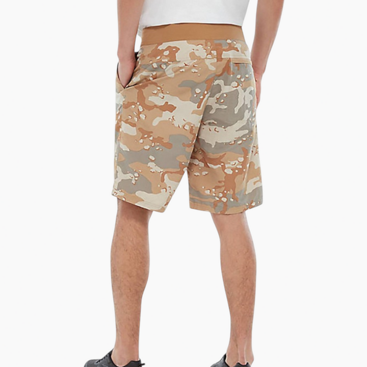 The North Face Class V Shorts