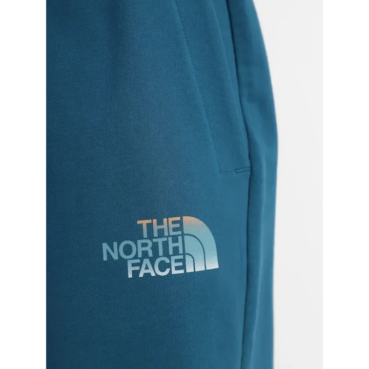 The North Face D2 Graphic Short