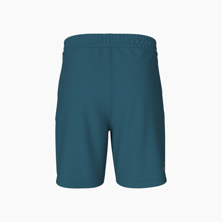 The North Face D2 Graphic Short