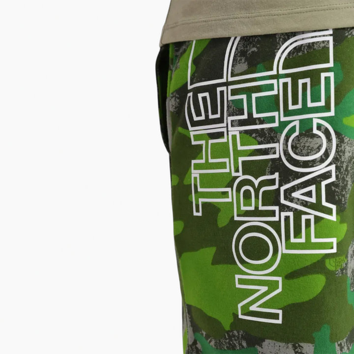 The North Face Graphic Short