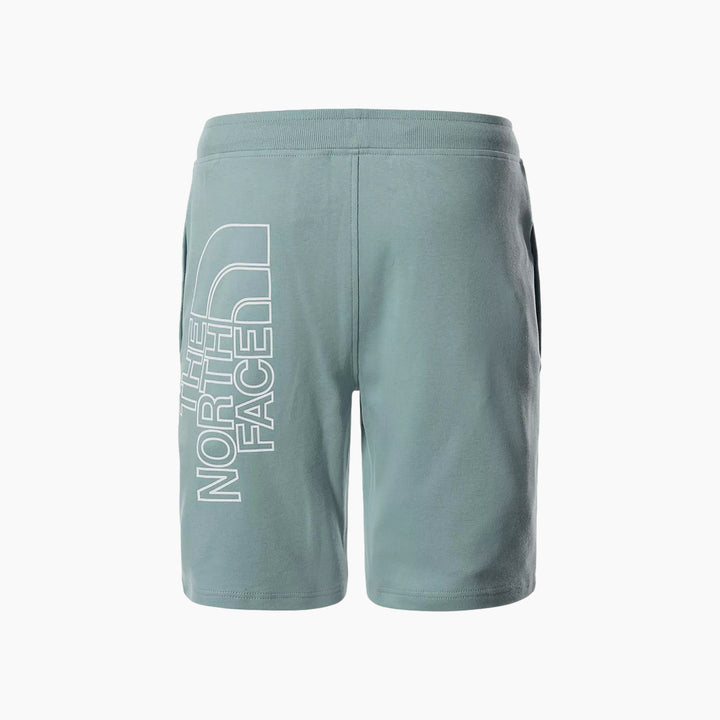 The North Face Graphic Short