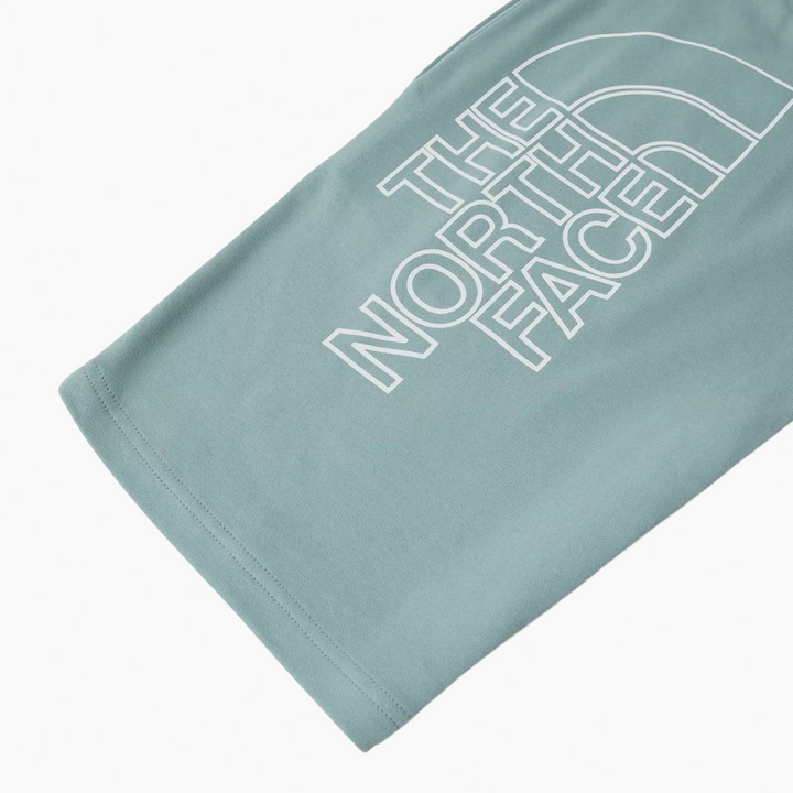 The North Face Graphic Short