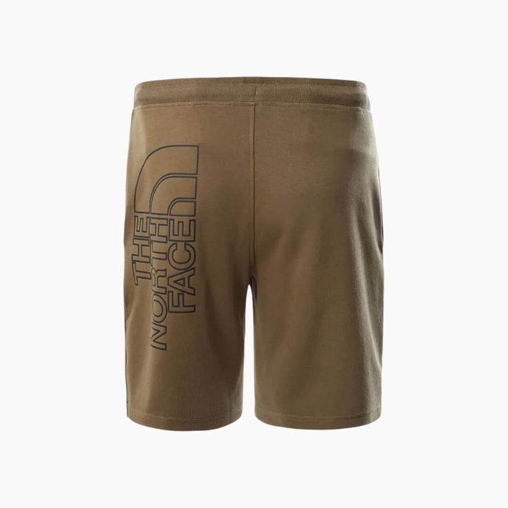 The North Face Graphic Short