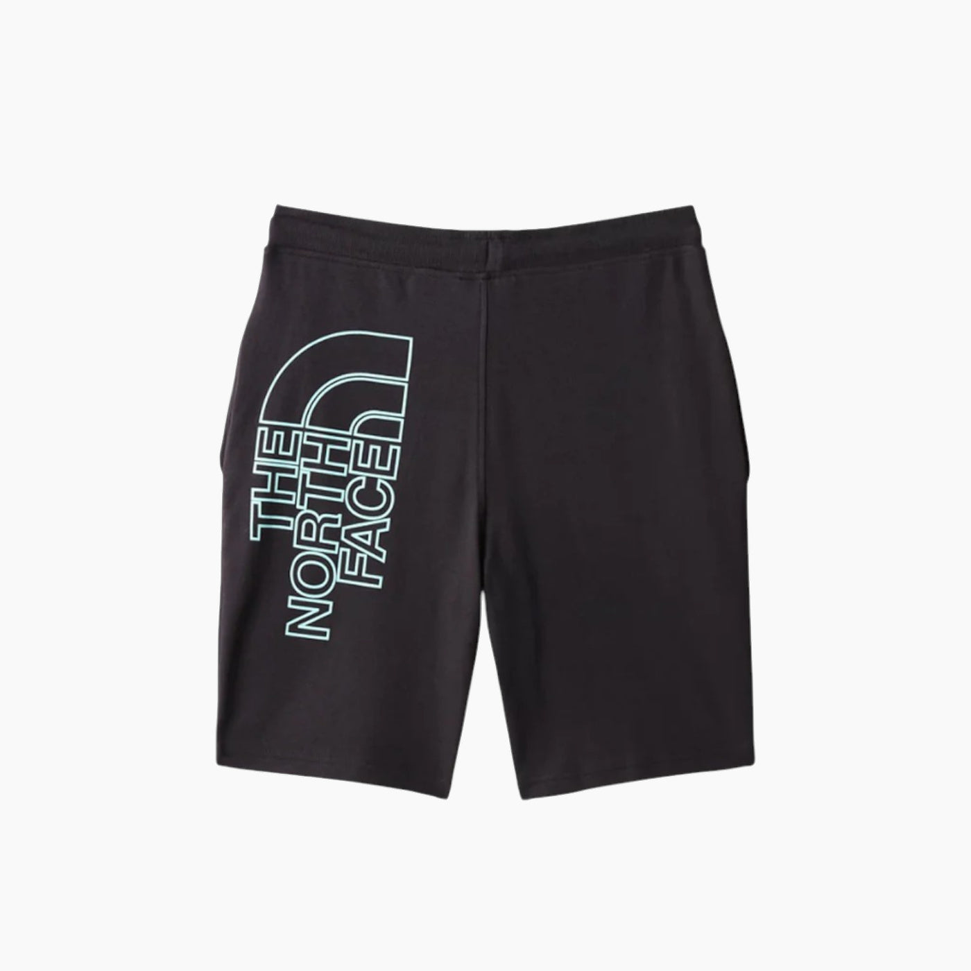 The North Face Graphic Short The North Face Graphic Short