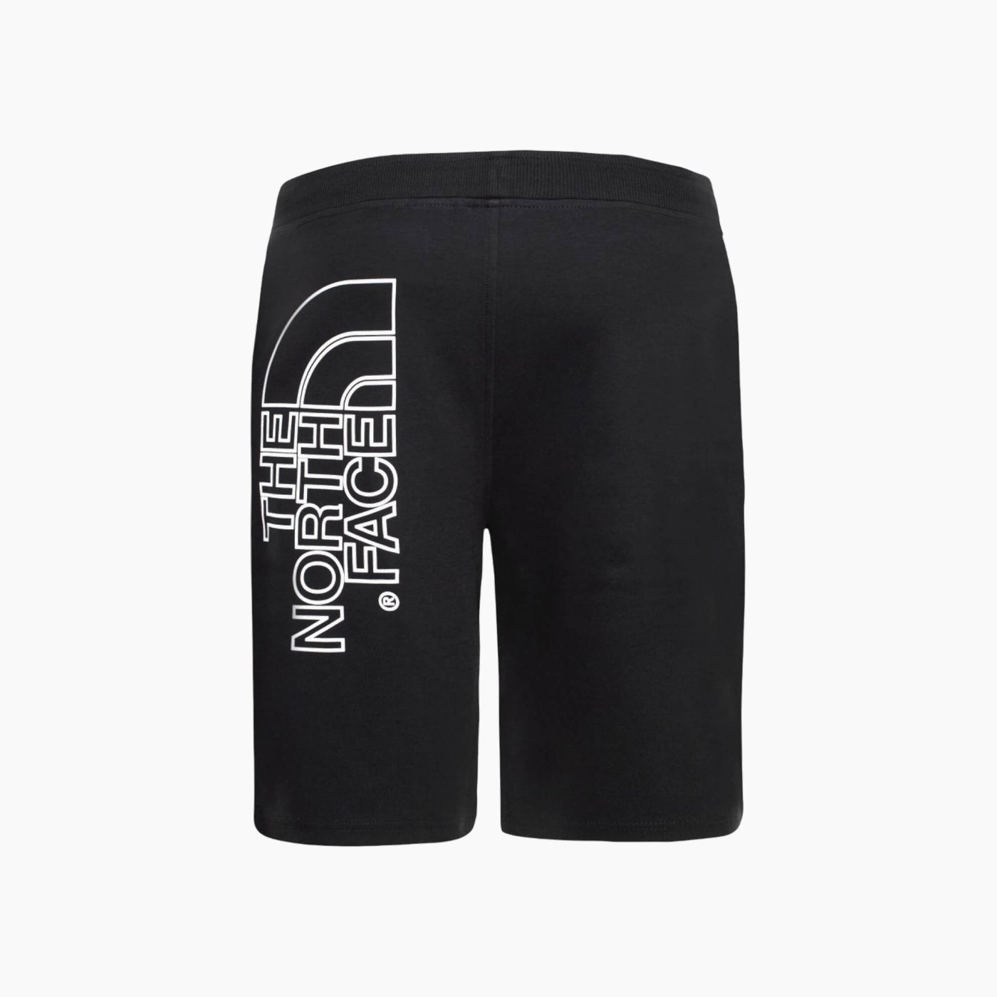 The North Face Graphic Short The North Face Graphic Short