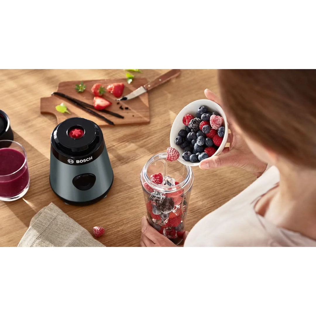 Bosch Vita Power Serie2 Blender