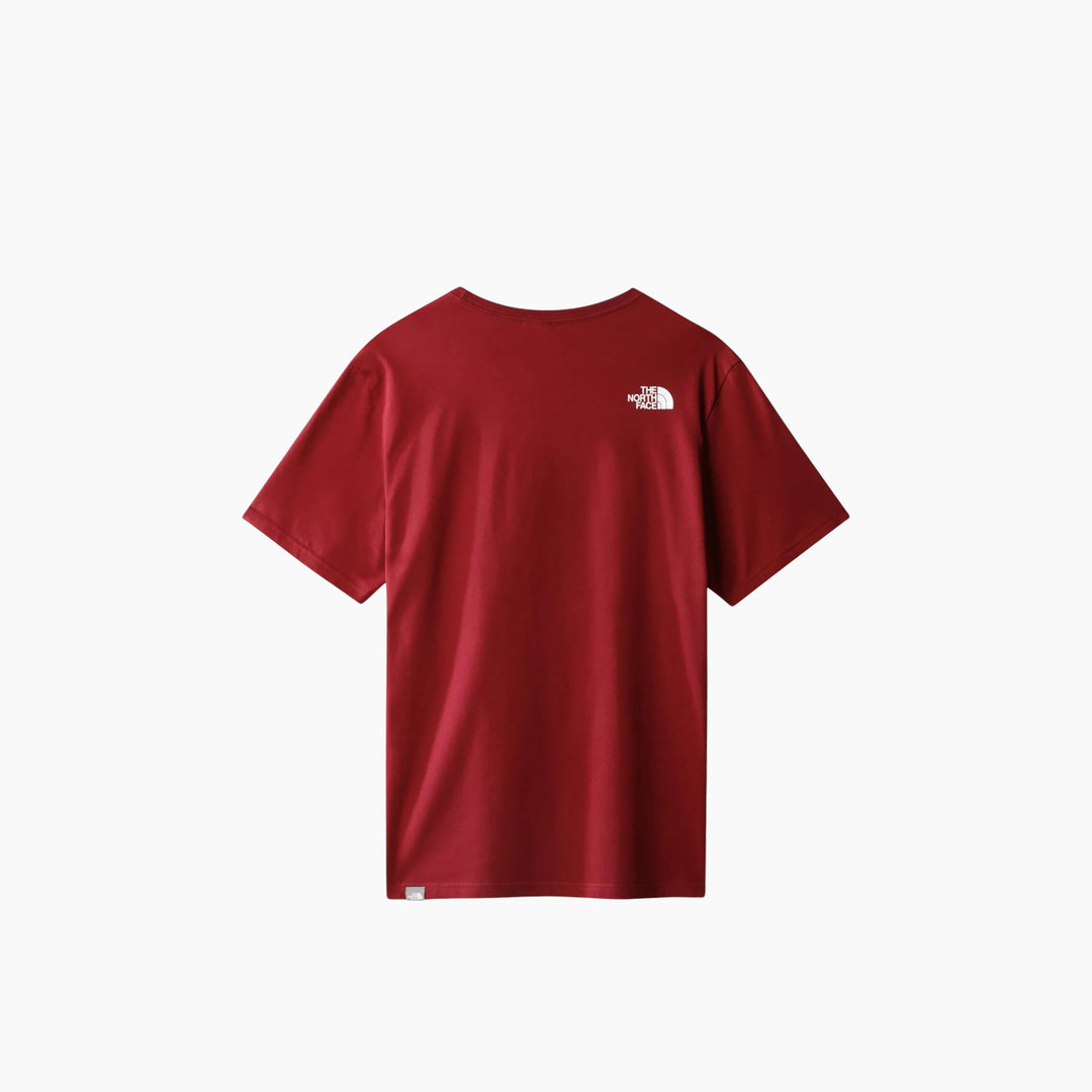 The North Face Seasonal Graphic Tee