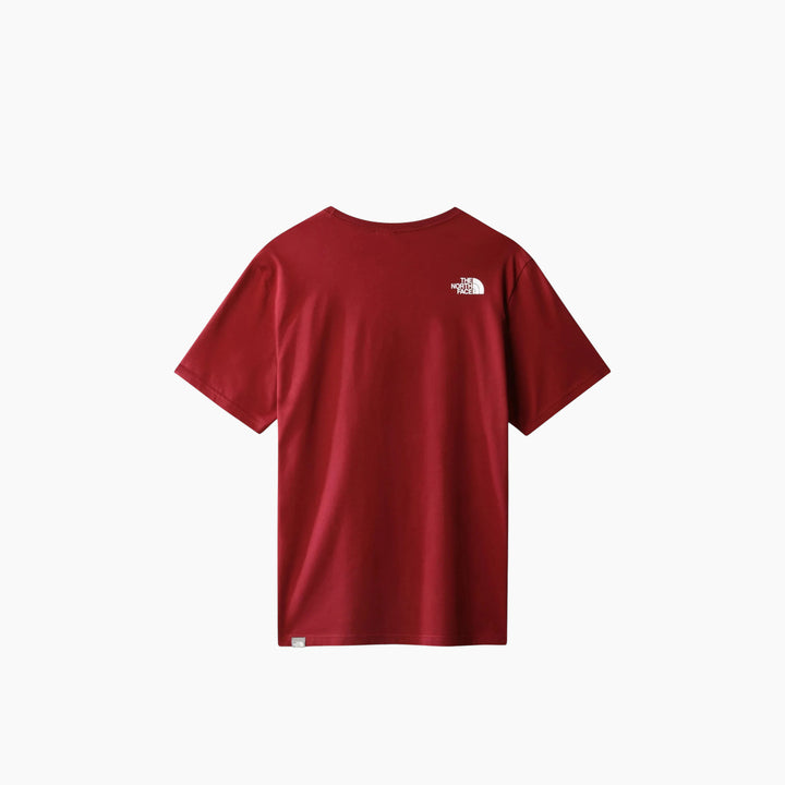 The North Face Seasonal Graphic Tee