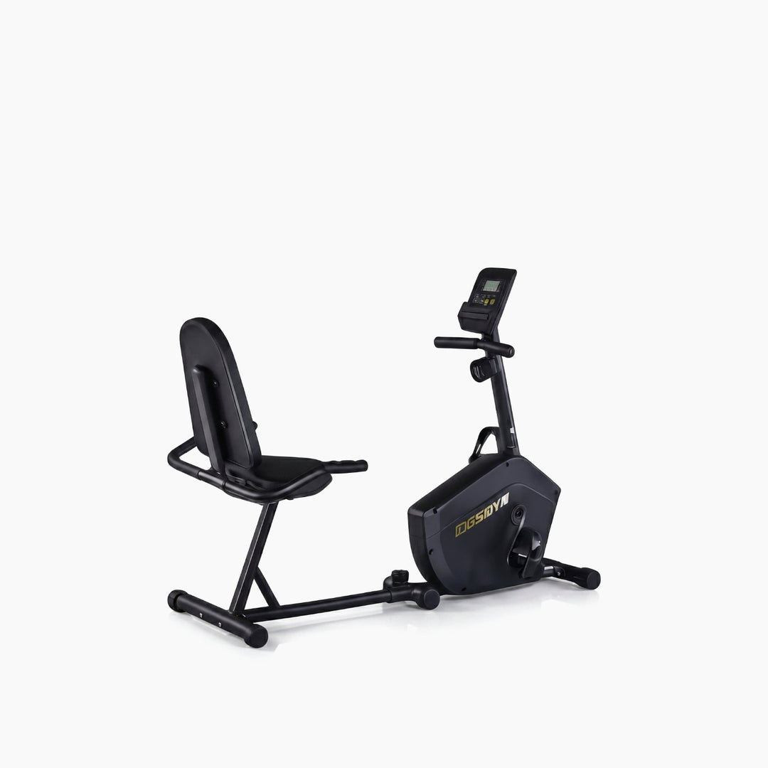 RAUGAJ Recumbent Exercise Bike with Backrest