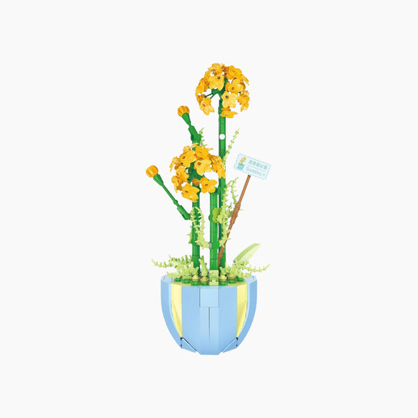Miancedar Pot