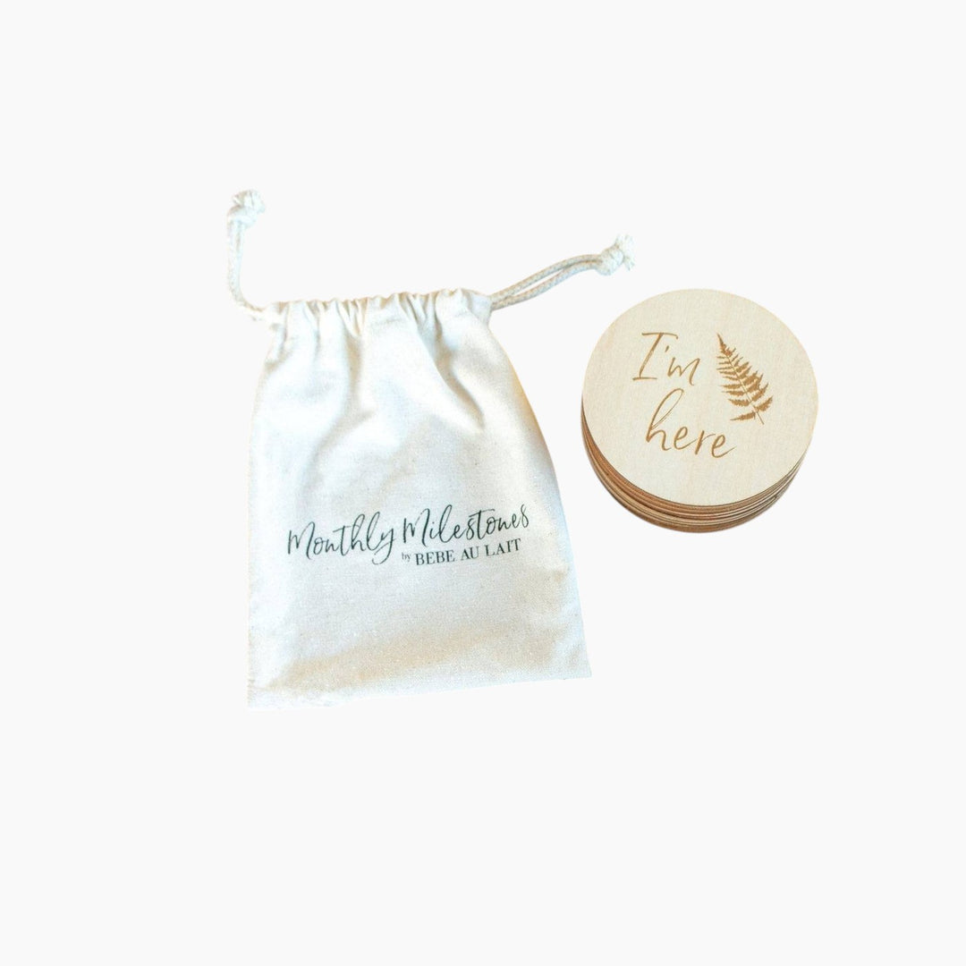 Bebe au Lait Monthly Milestone Moments Discs