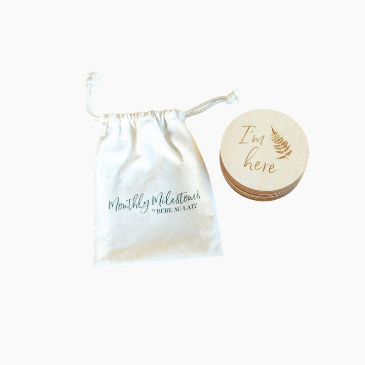 Bebe au Lait Monthly Milestone Moments Discs