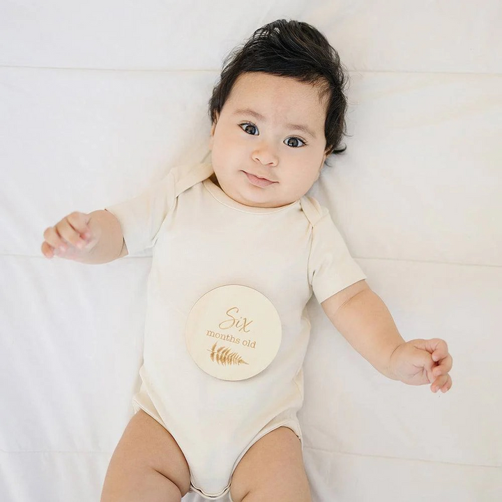 Bebe au Lait Monthly Milestone Moments Discs
