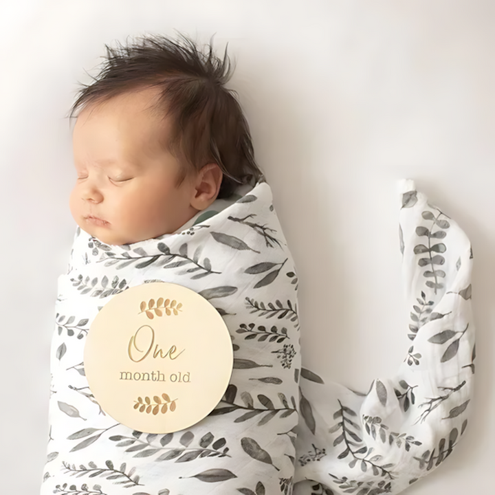 Bebe au Lait Monthly Milestone Moments Discs