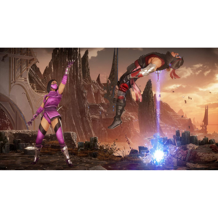 Warner Bros. Mortal Kombat 11 Ultimate (PS4)
