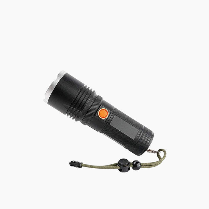 Generic Multi-Use Handheld Torch