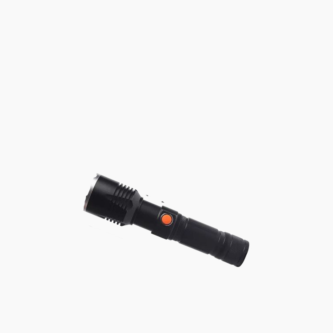 Generic Multi-Use Handheld Torch