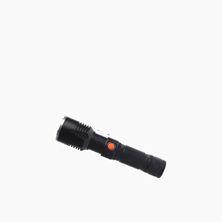 Generic Multi-Use Handheld Torch