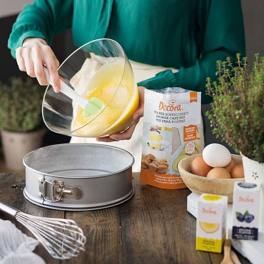 Non-Stick Springform Pan