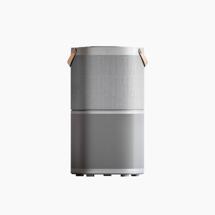 Air Purifire Electrolux Air Purifier Grey