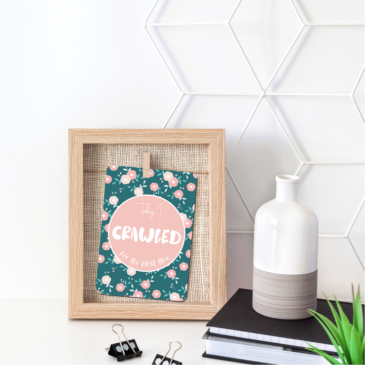 Twinkle &amp; Giraffe Milestone Cards Set of 25