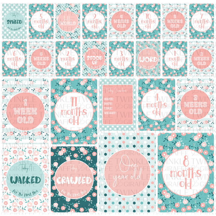 Twinkle &amp; Giraffe Milestone Cards Set of 25