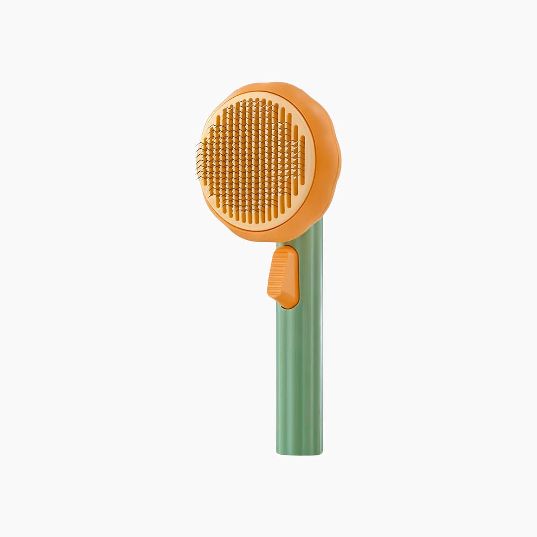Pet Village Pet Pumpkin Brush