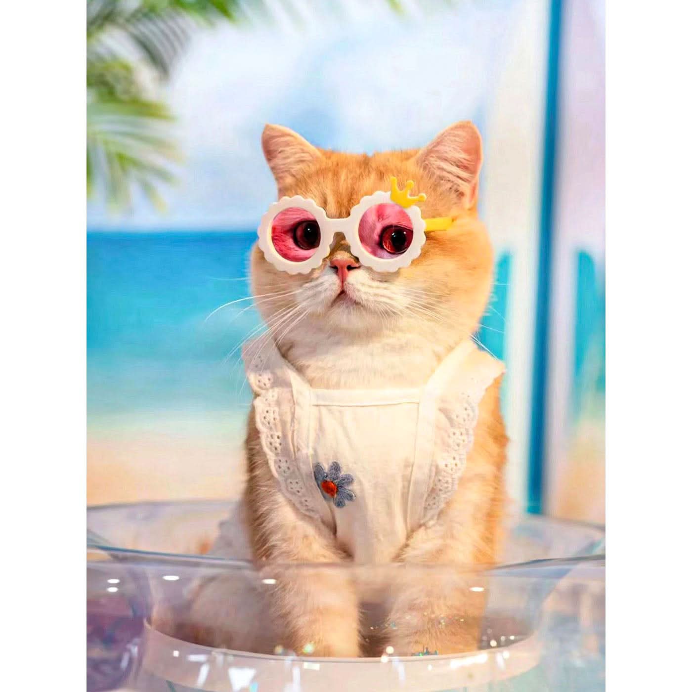 Pet Village Cat Eye Pet Sunglasses Pet Village Cat Eye Pet Sunglasses