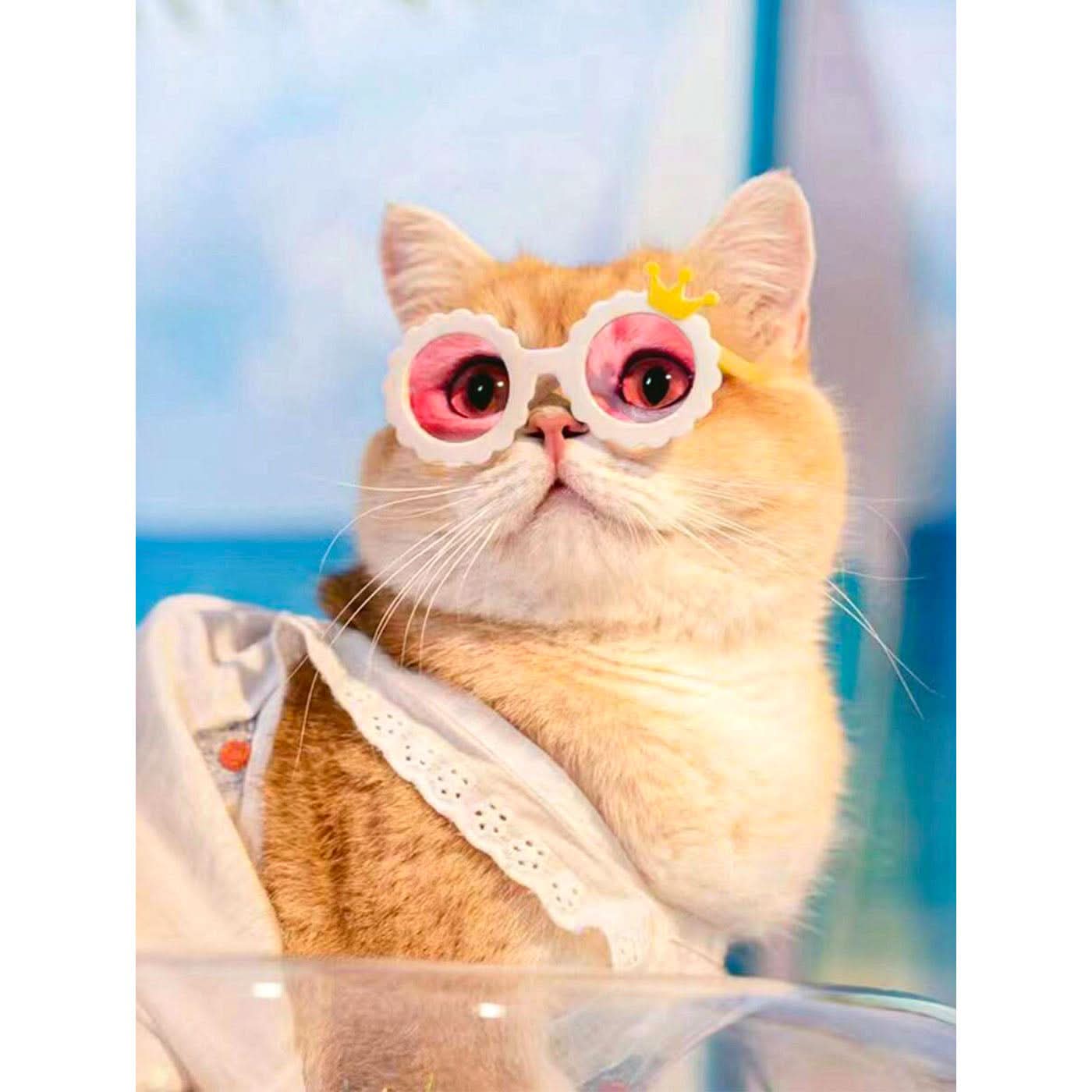 Pet Village Cat Eye Pet Sunglasses Pet Village Cat Eye Pet Sunglasses