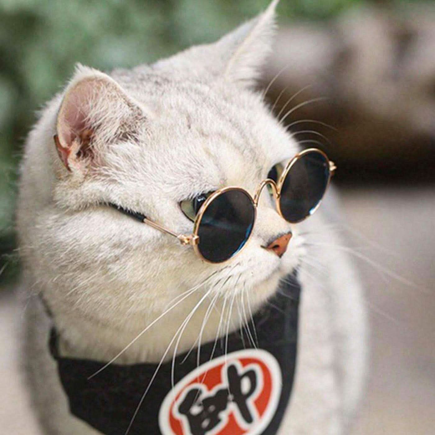 Pet Village Vintage Round Sunglasses Pet Village Vintage Round Sunglasses