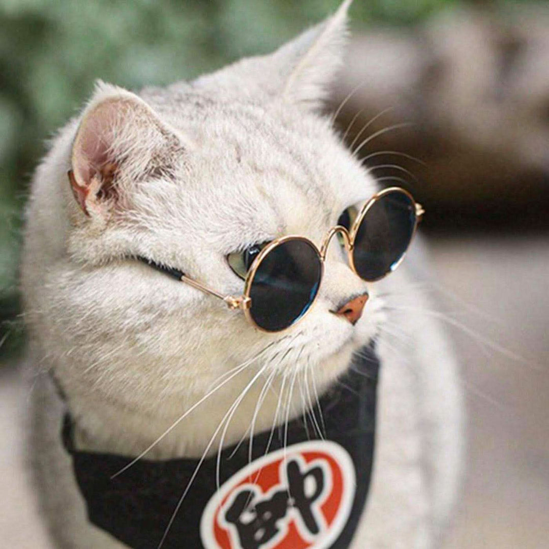 Pet Village Vintage Round Sunglasses - HUNA