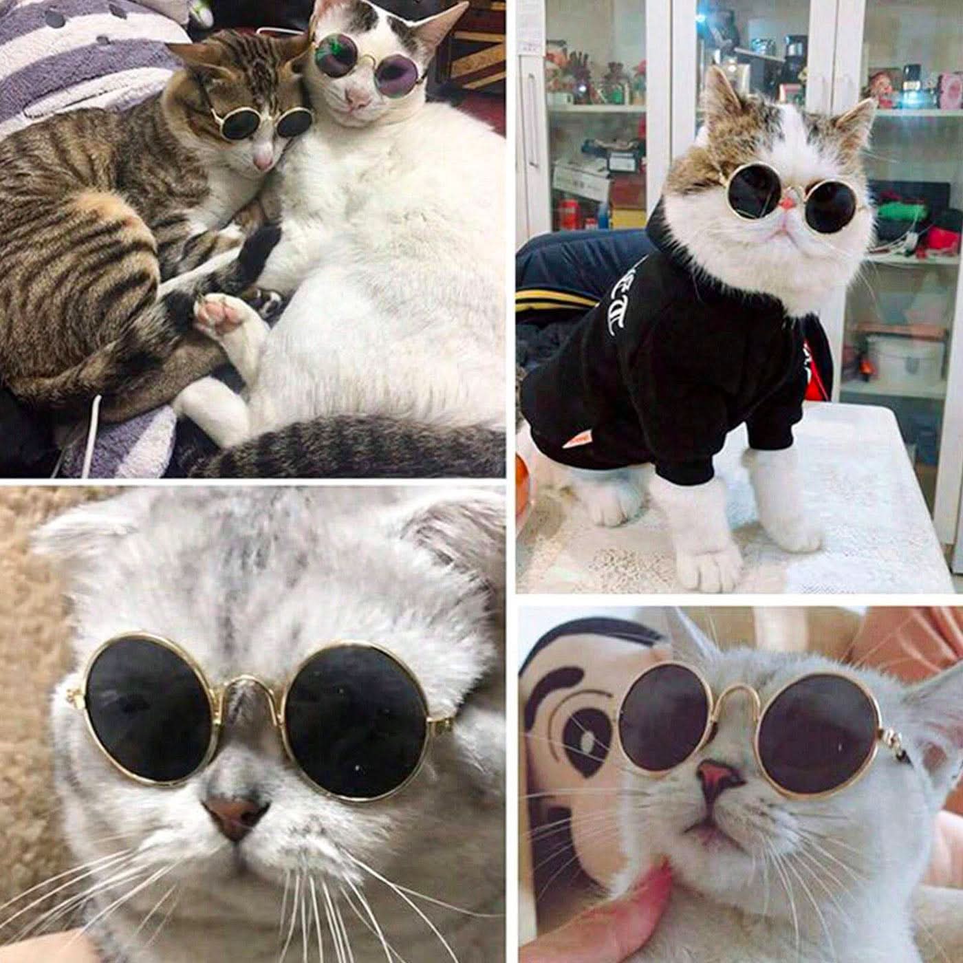 Pet Village Vintage Round Sunglasses Pet Village Vintage Round Sunglasses