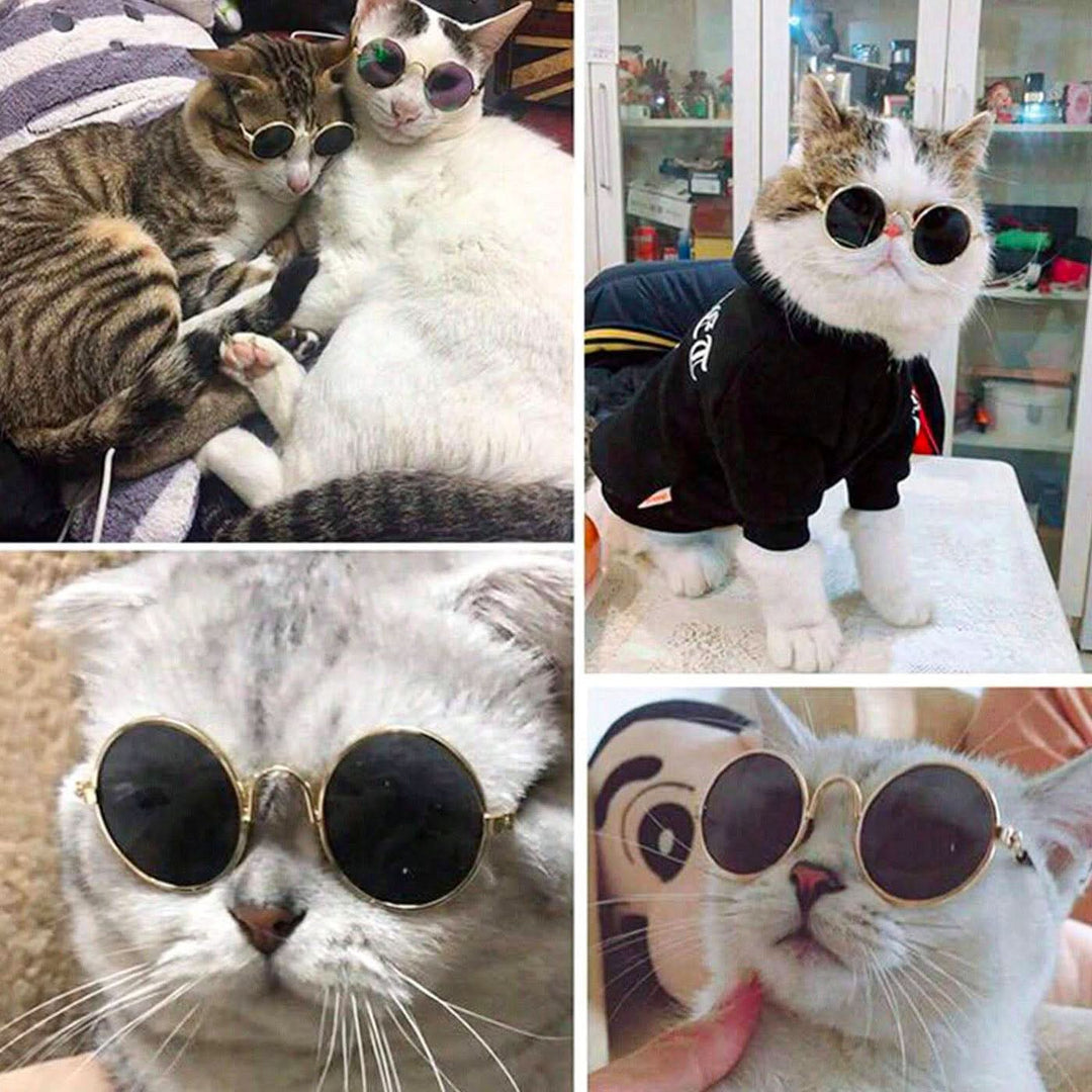 Pet Village Vintage Round Sunglasses - HUNA