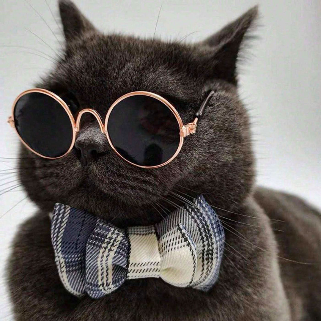 Pet Village Vintage Round Sunglasses - HUNA