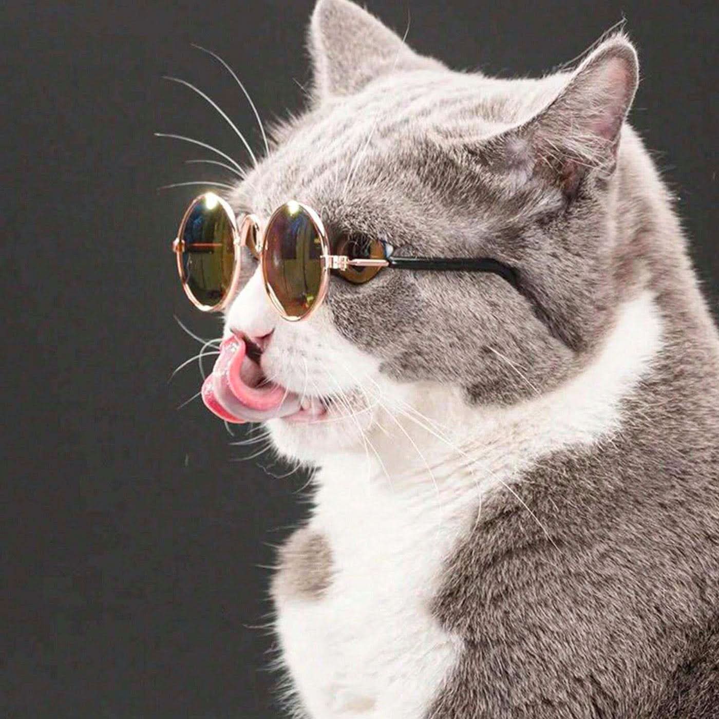 Pet Village Vintage Round Sunglasses Pet Village Vintage Round Sunglasses