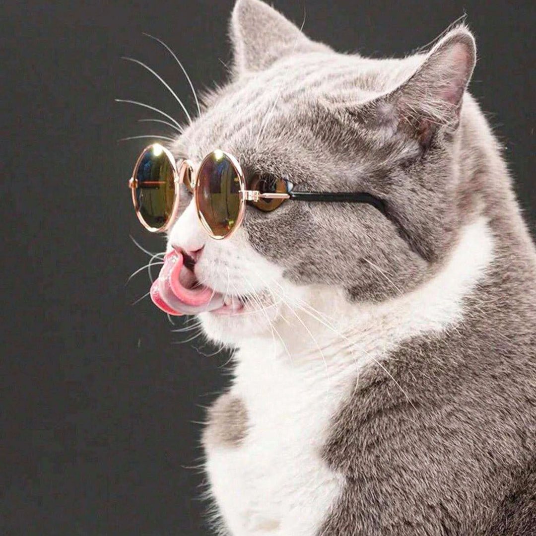 Pet Village Vintage Round Sunglasses - HUNA
