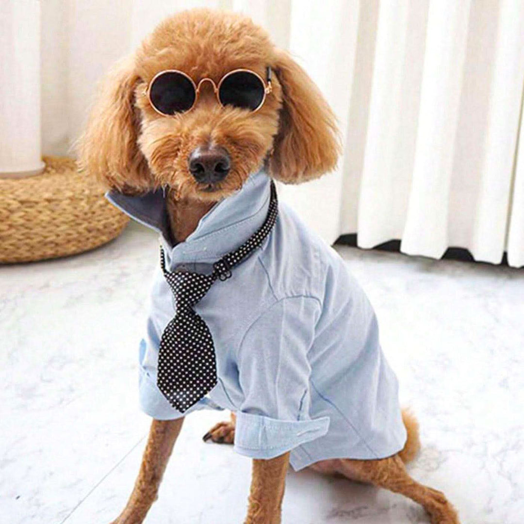 Pet Village Vintage Round Sunglasses - HUNA