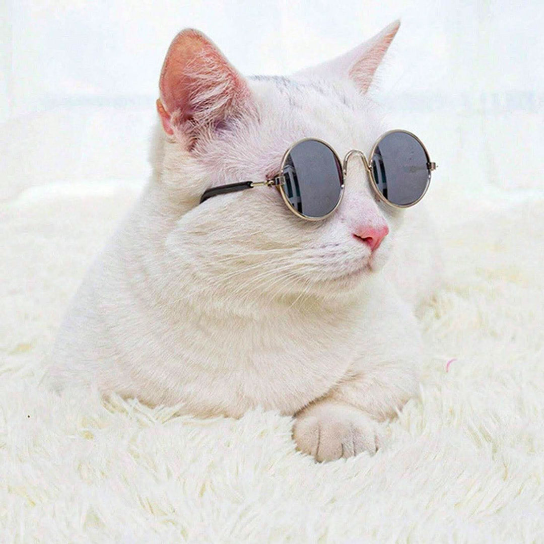 Pet Village Vintage Round Sunglasses - HUNA