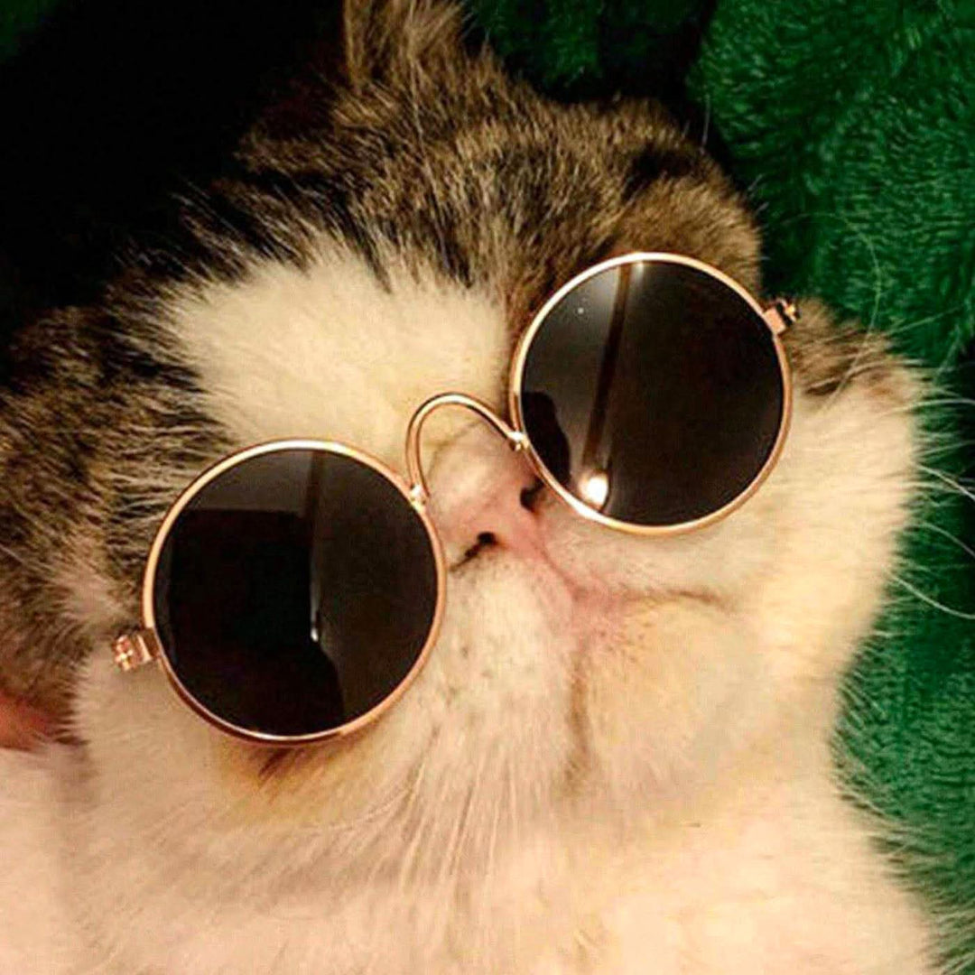 Pet Village Vintage Round Sunglasses - HUNA
