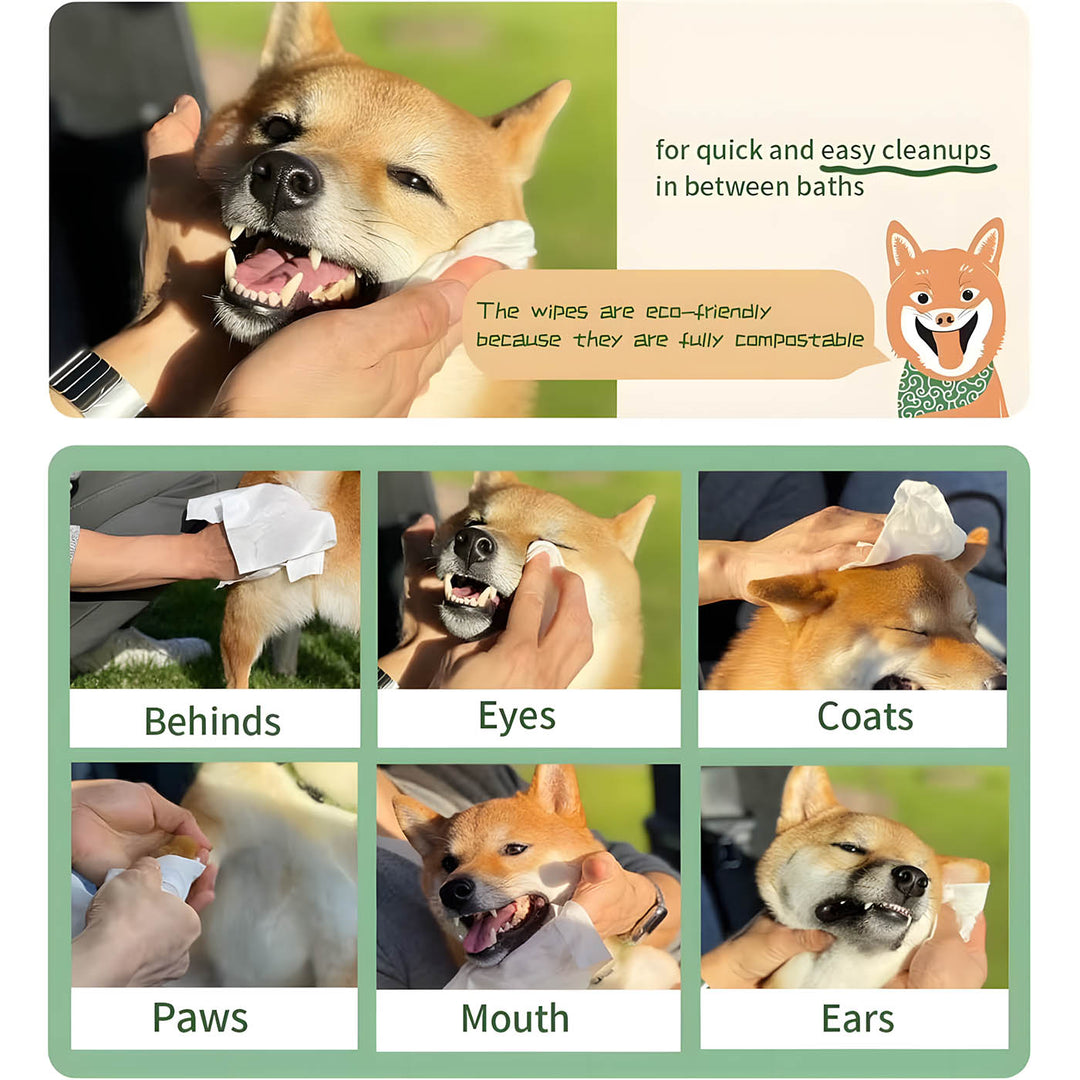 Pet Village Pet Wipes