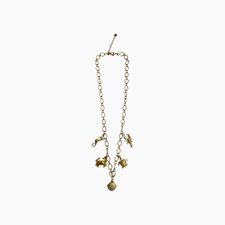 Featherlight Sea Charm Chain Necklace