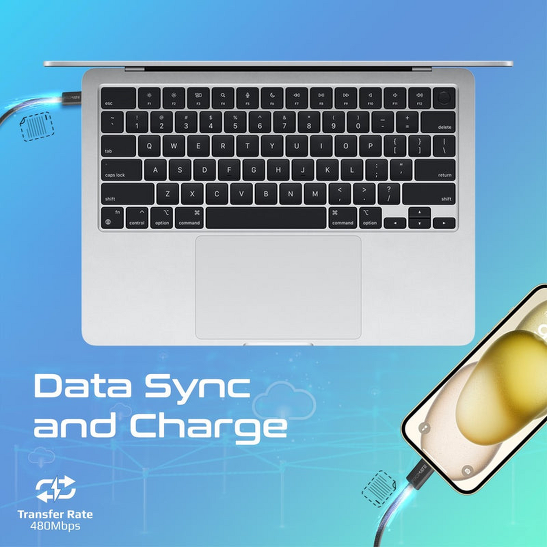 Promate EcoLine-CC200 USB-C Cable (Black)