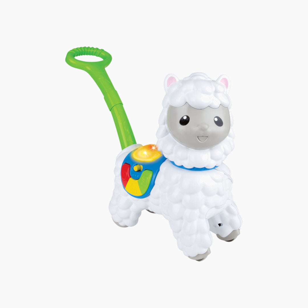 Winfun Push-Along Little Alpaca Toy
