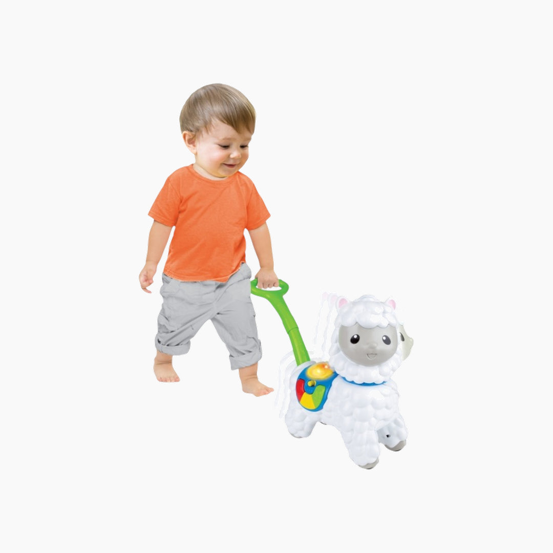 Winfun Push-Along Little Alpaca Toy