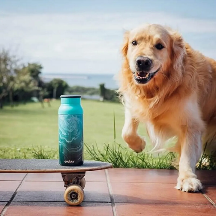Quokka Thermal Stainless Steel Bottle With Silicone Handle Echo 690 ML