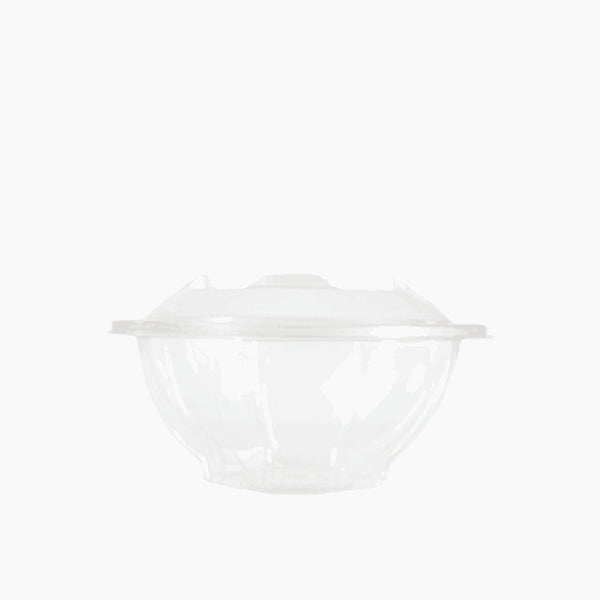 Rz Clear Round Plastic Containers with Hinged Lid