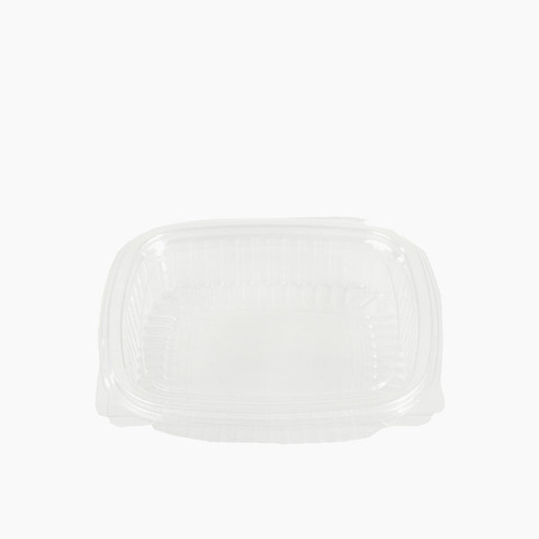 Rz Rectangular Clear Plastic Containers with Hinged Lid 250 cc 80 Pcs