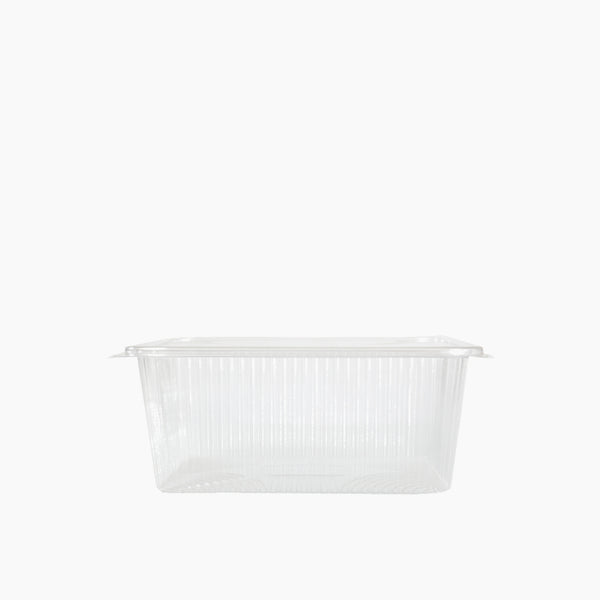 Rz Rectangular Clear Plastic Containers with Hinged Lid 2000 cc 20 Pcs