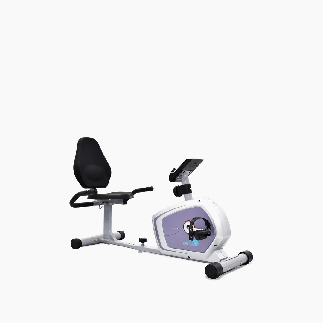 SKY LAND Recumbent Desk &amp; Floor Bike with Backrest